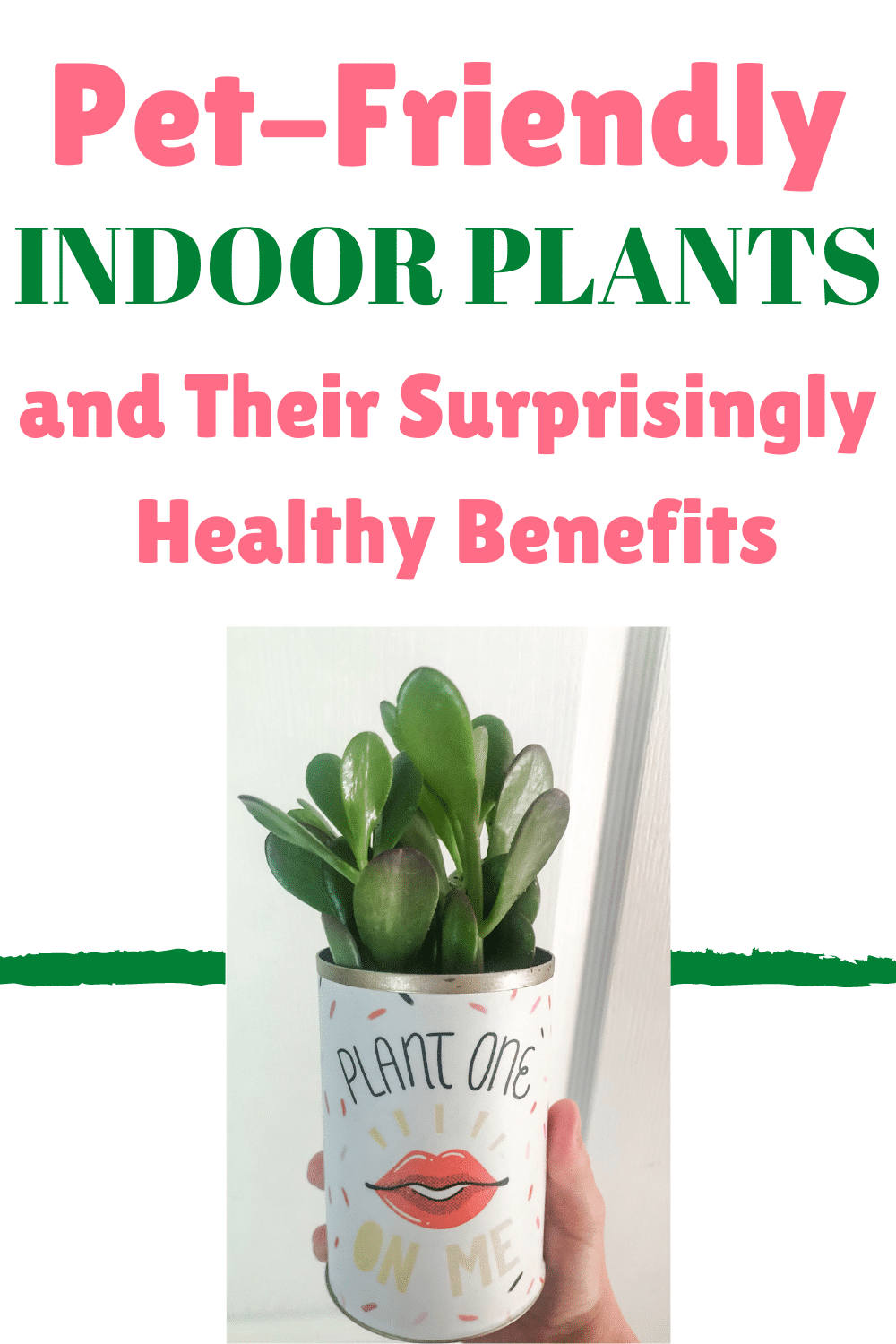 pet-friendly indoor plants